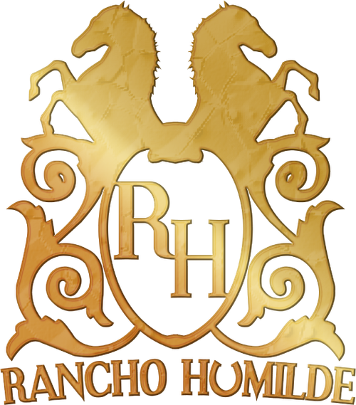Каталог фильмов от студии Rancho Humilde - Рейтинги, отзывы, дата выхода на CUB