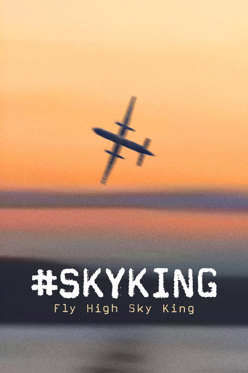 #SKYKING