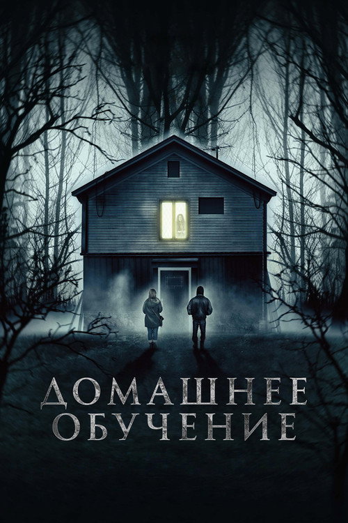 Домашнее обучение