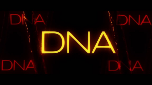 Каталог фильмов от студии DNA Films - Рейтинги, отзывы, дата выхода на CUB