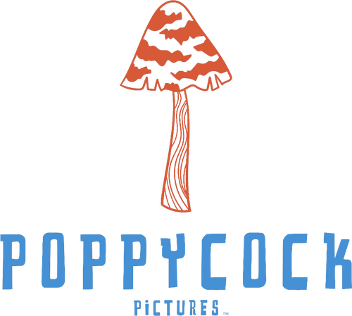 Каталог сериалов от студии Poppycock Pictures - Рейтинги, отзывы, дата выхода на CUB