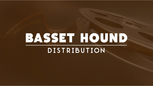 Каталог фильмов от студии Basset Hound Distribution - Рейтинги, отзывы, дата выхода на CUB