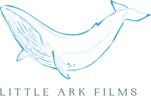 Каталог фильмов от студии Little Ark Films - Рейтинги, отзывы, дата выхода на CUB