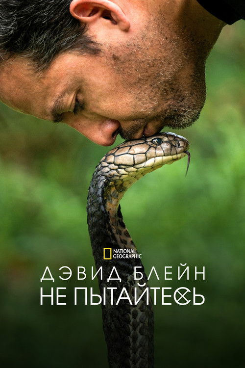 Дэвид Блейн: Не пытайтесь повторить