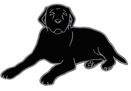 Каталог сериалов от студии Black Dog Television - Рейтинги, отзывы, дата выхода на CUB