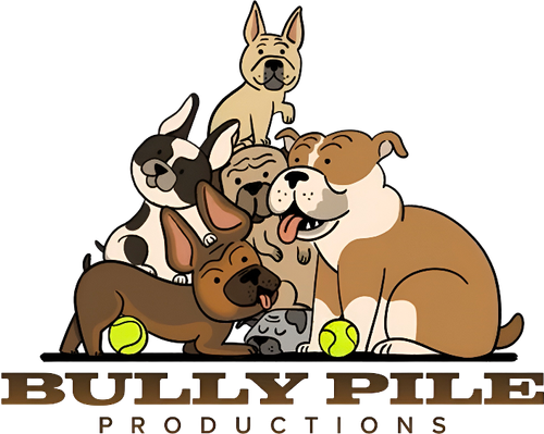 Каталог сериалов от студии Bully Pile Productions - Рейтинги, отзывы, дата выхода на CUB