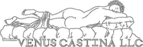 Каталог фильмов от студии Venus Castina Productions - Рейтинги, отзывы, дата выхода на CUB