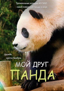 Мой друг панда