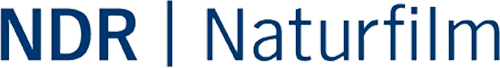 Каталог фильмов от студии NDR Naturfilm - Рейтинги, отзывы, дата выхода на CUB