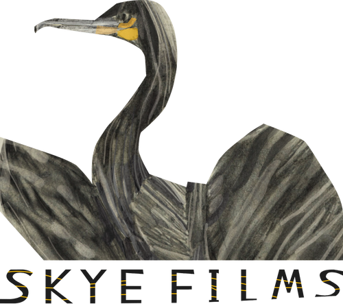 Каталог фильмов от студии Skye Films - Рейтинги, отзывы, дата выхода на CUB