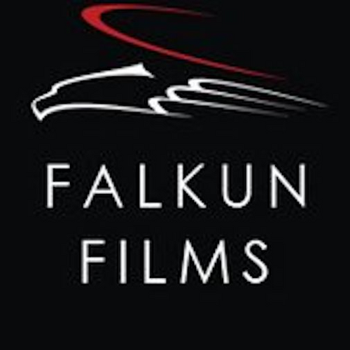 Каталог фильмов от студии Falkun Films - Рейтинги, отзывы, дата выхода на CUB