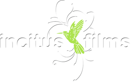 Каталог фильмов от студии Incitus Films - Рейтинги, отзывы, дата выхода на CUB