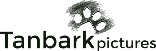 Каталог фильмов от студии Tanbark Pictures - Рейтинги, отзывы, дата выхода на CUB