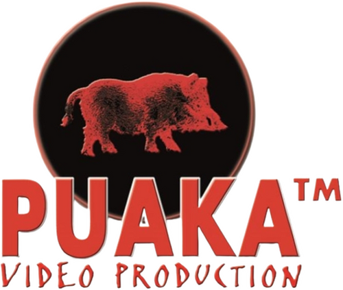 Каталог фильмов от студии Puaka - Рейтинги, отзывы, дата выхода на CUB