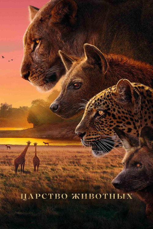 Королевство