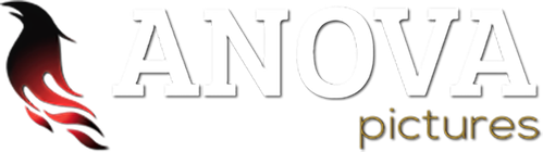 Каталог фильмов от студии Anova Pictures - Рейтинги, отзывы, дата выхода на CUB