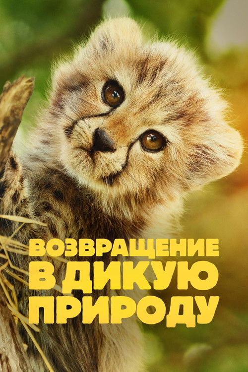 Возвращение в дикую природу