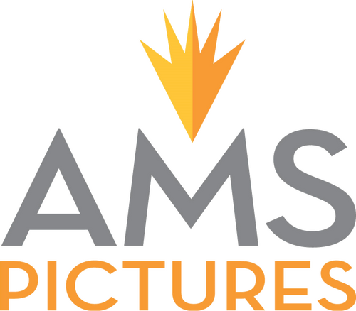 Каталог сериалов от студии AMS Pictures - Рейтинги, отзывы, дата выхода на CUB