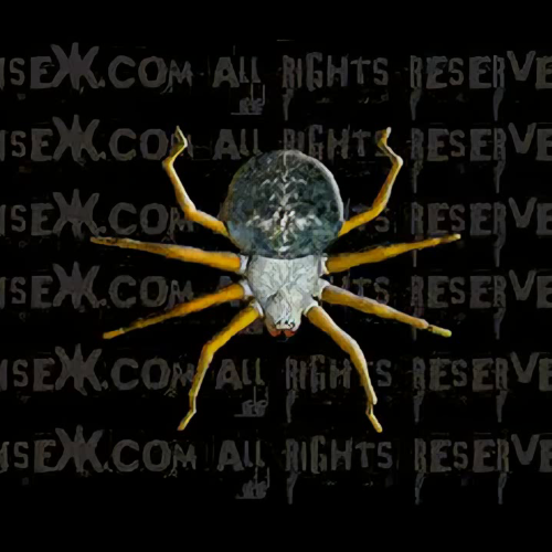 Каталог фильмов от студии Intersec Interactive Inc. - Рейтинги, отзывы, дата выхода на CUB