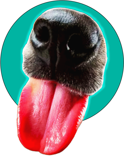 Каталог фильмов от студии Dog Unlimited - Рейтинги, отзывы, дата выхода на CUB