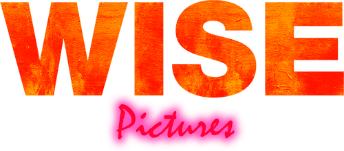 Каталог фильмов от студии Wise Pictures - Рейтинги, отзывы, дата выхода на CUB