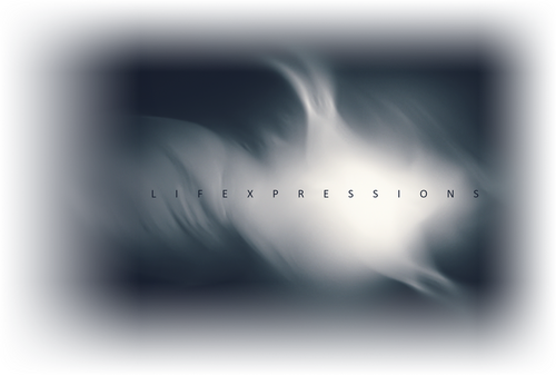 Каталог фильмов от студии Lifexpressions - Рейтинги, отзывы, дата выхода на CUB