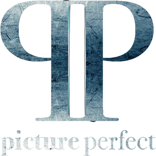 Каталог фильмов от студии Picture Perfect - Рейтинги, отзывы, дата выхода на CUB