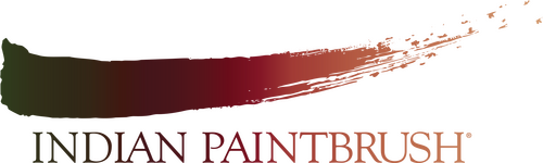 Каталог фильмов от студии Indian Paintbrush - Рейтинги, отзывы, дата выхода на CUB