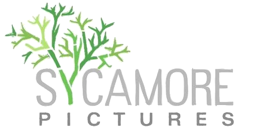 Каталог фильмов от студии Sycamore Pictures - Рейтинги, отзывы, дата выхода на CUB