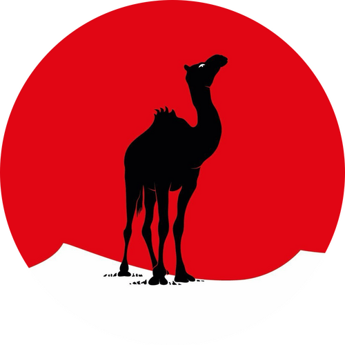 Каталог сериалов от студии Black Camel Pictures - Рейтинги, отзывы, дата выхода на CUB